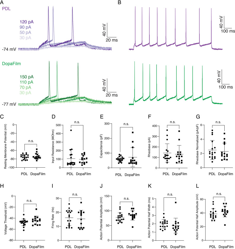 Figure 1—figure supplement 2.