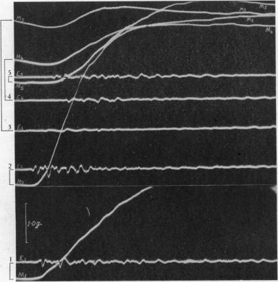 Fig. 12