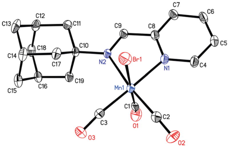 Fig. 2