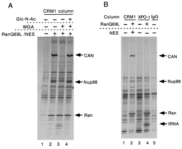 FIG. 6