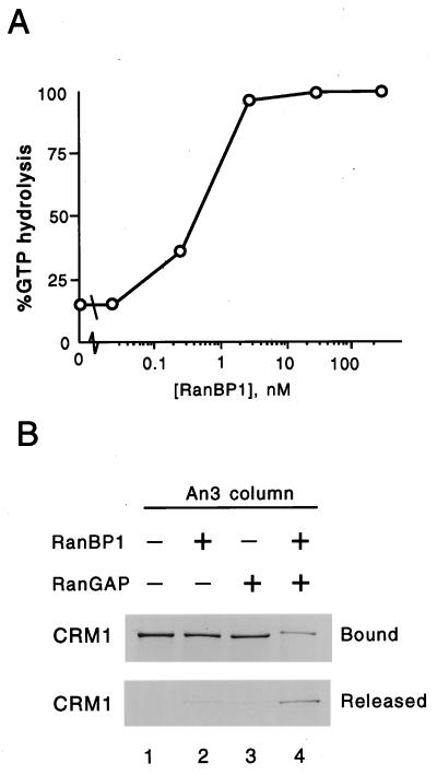 FIG. 5