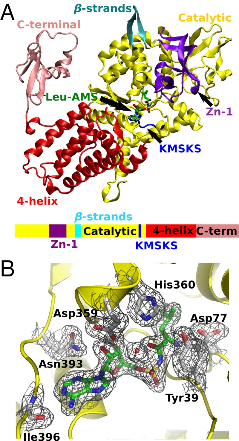 Fig. 3.