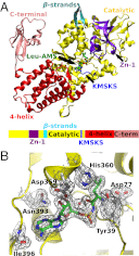 Fig. 3.