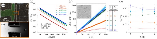 Figure 2.