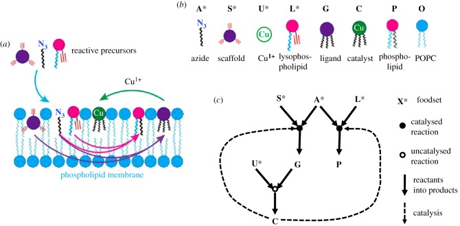 Figure 12.