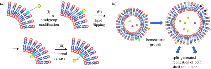 Figure 13.