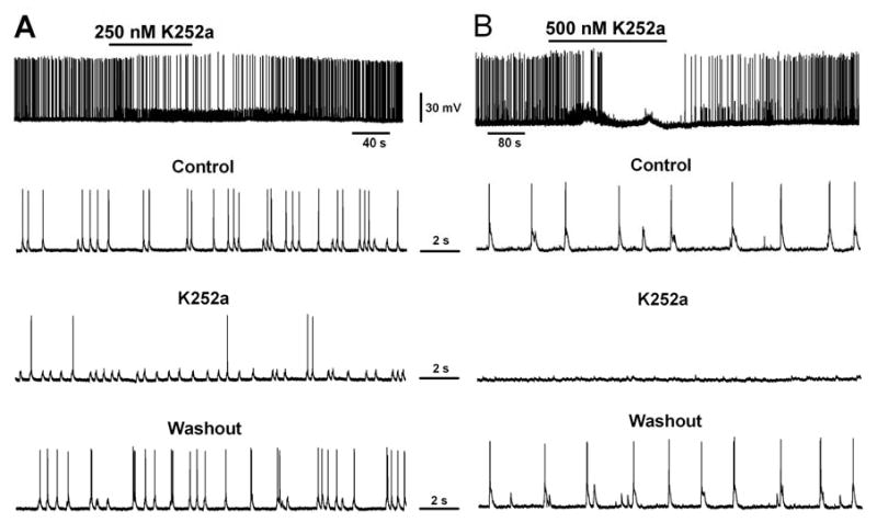 Fig. 9