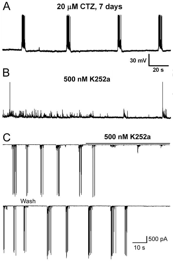 Fig. 8