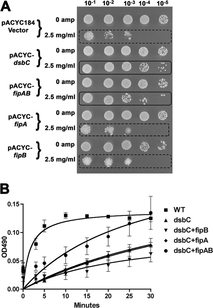 FIG 2