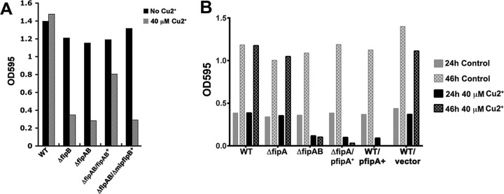 FIG 4