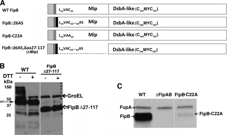 FIG 5