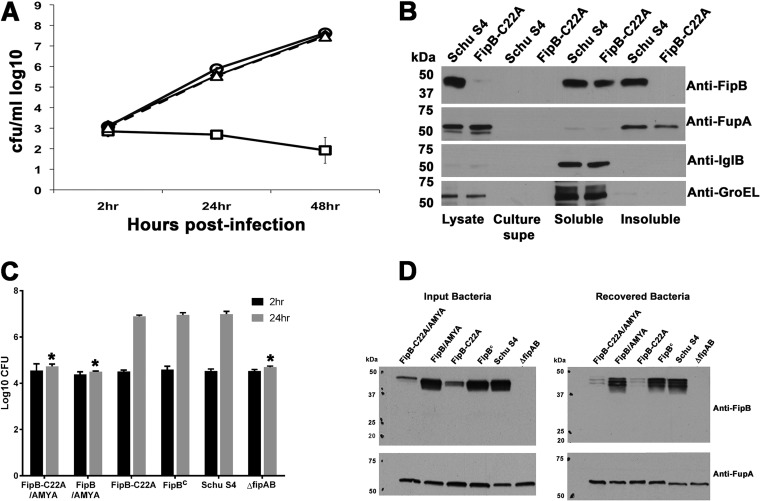 FIG 6