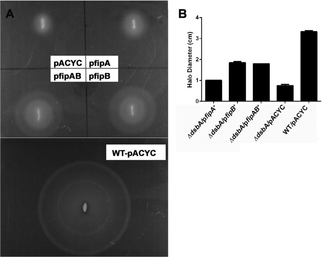 FIG 1