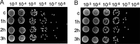 FIG 8
