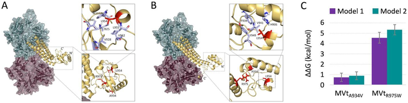 Figure 6: