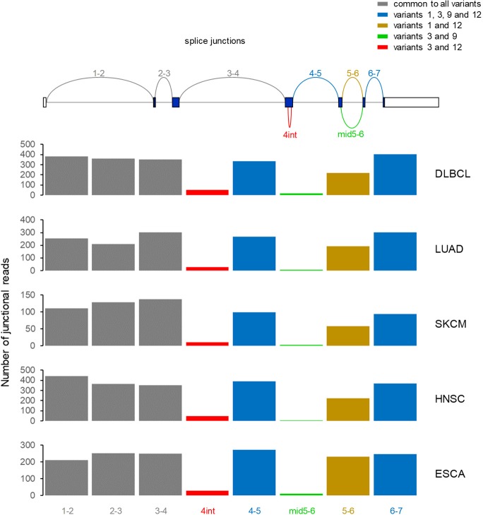 Figure 1—figure supplement 4.