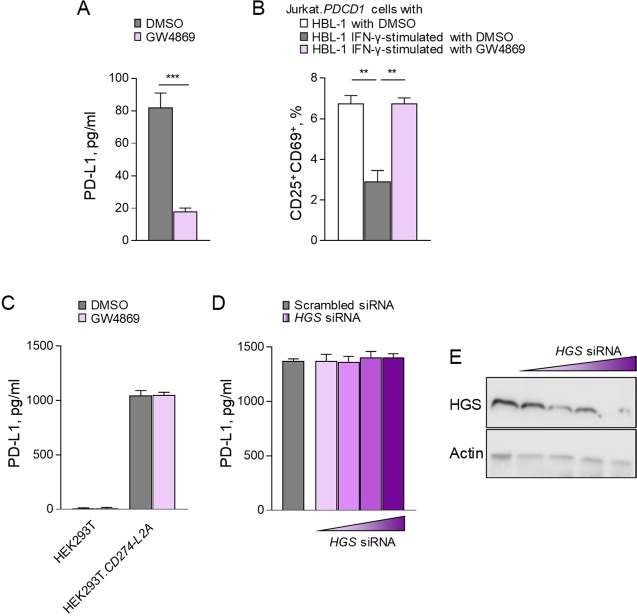 Figure 3—figure supplement 2.