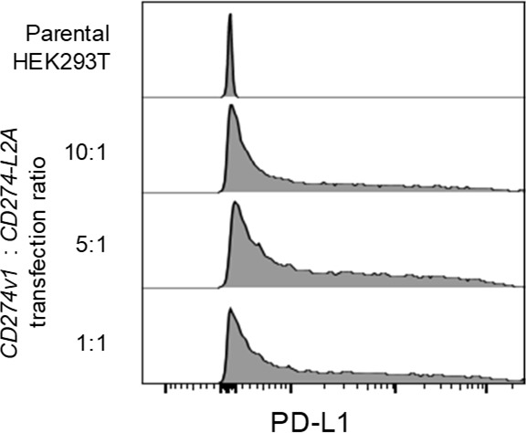 Figure 5—figure supplement 2.