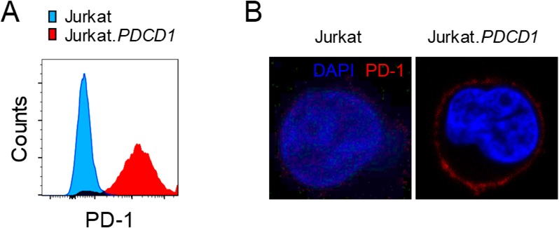 Figure 4—figure supplement 1.