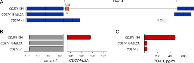 Figure 1—figure supplement 2.