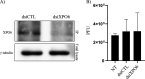 FIG 10