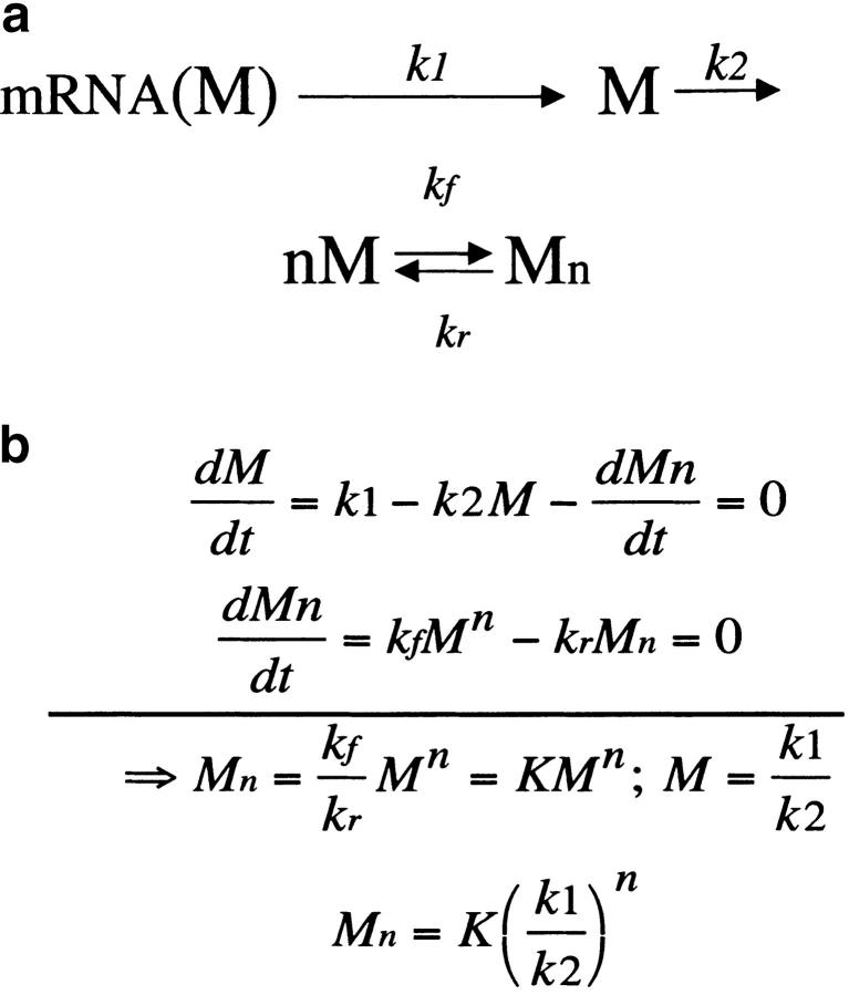 Figure 4.—