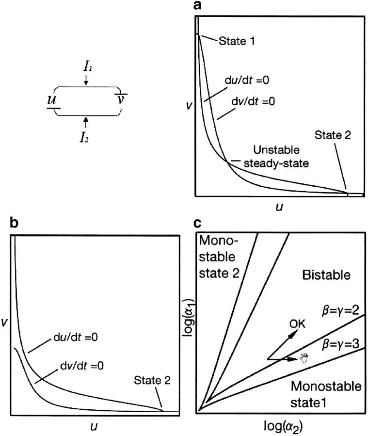 Figure 3.—