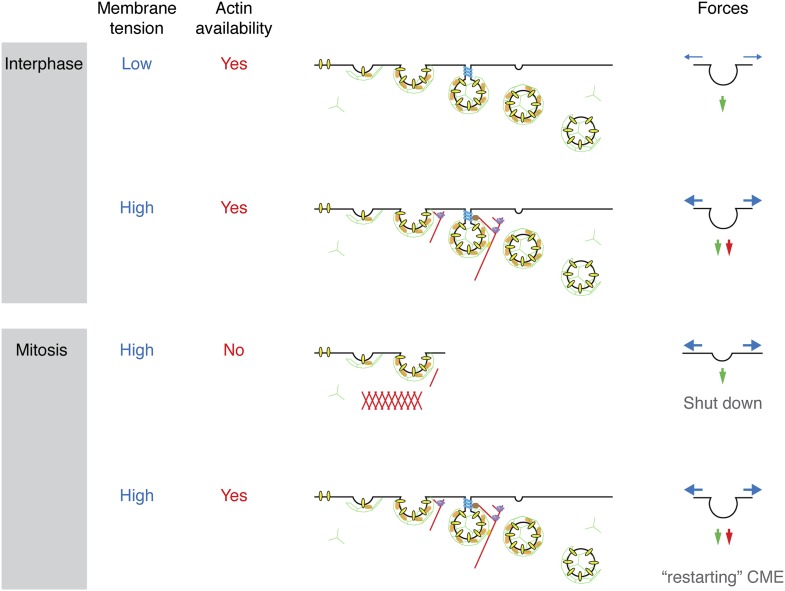 Figure 7.