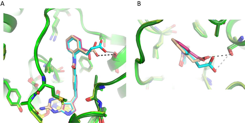 Figure 7.