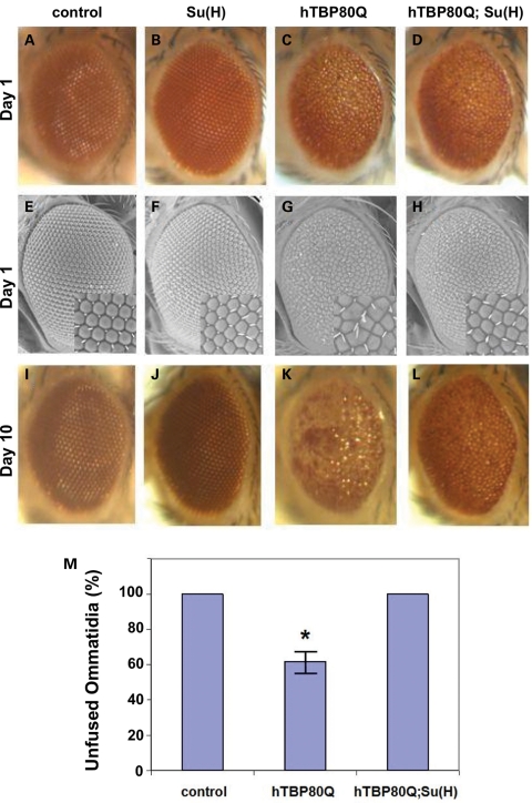 Figure 5.