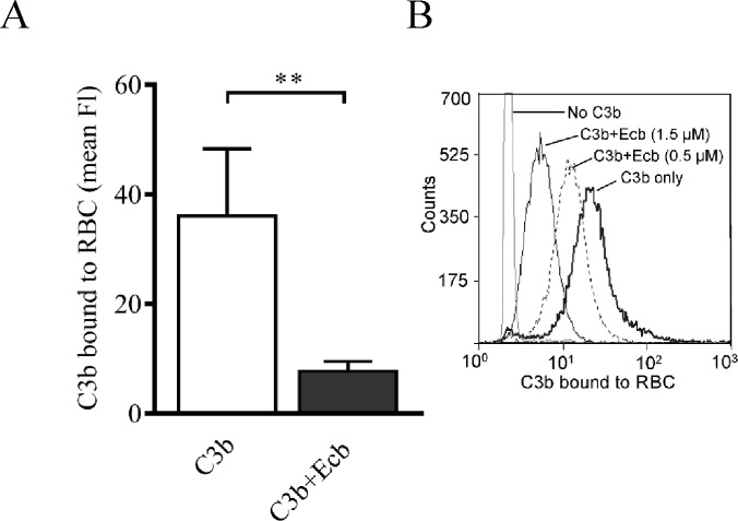 Fig 5