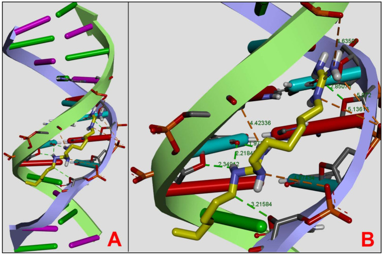 Figure 11