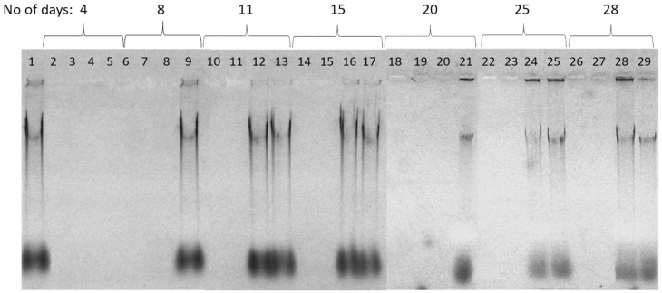 Figure 10