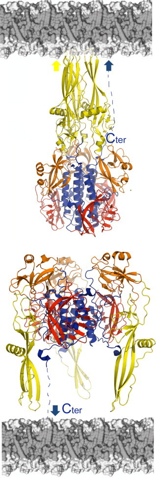 Figure 8