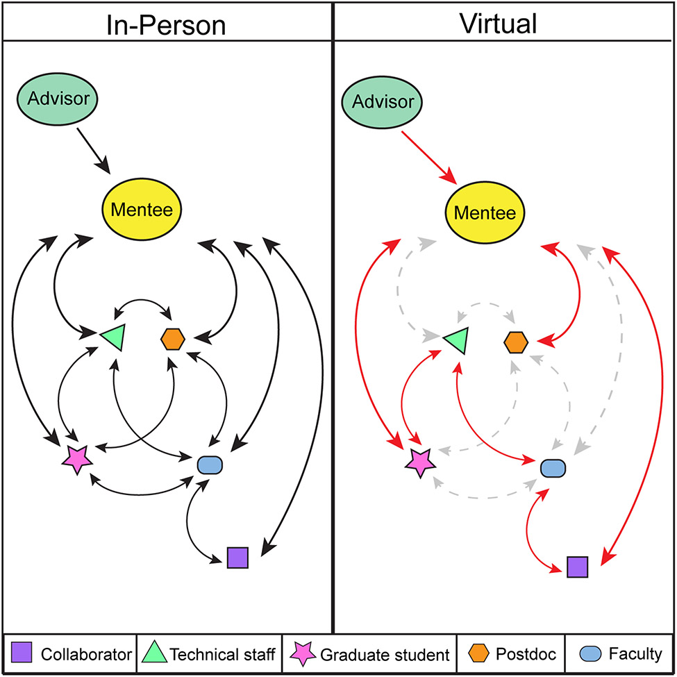 Figure 1: