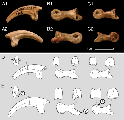 Fig. 2.