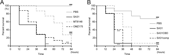 FIG 4