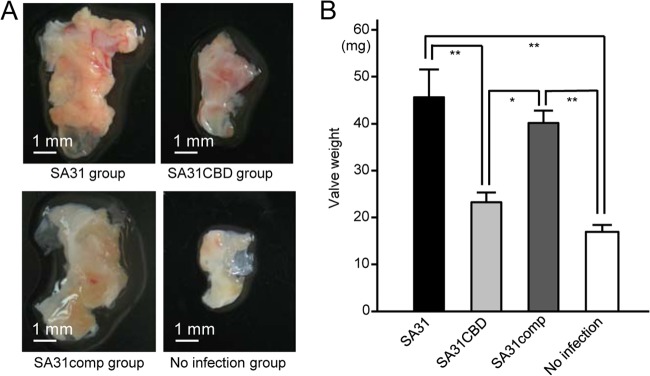 FIG 6