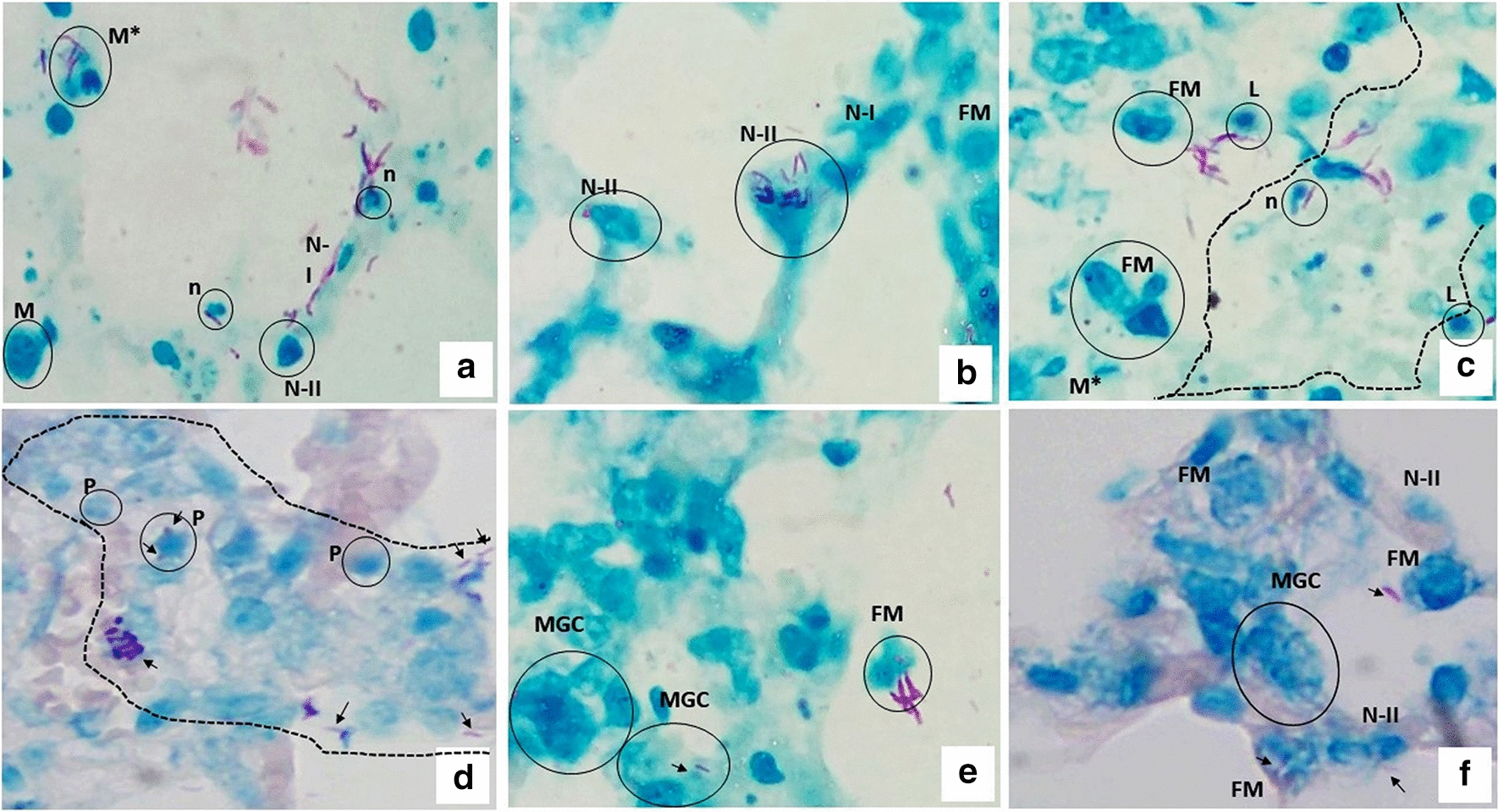 Fig. 3