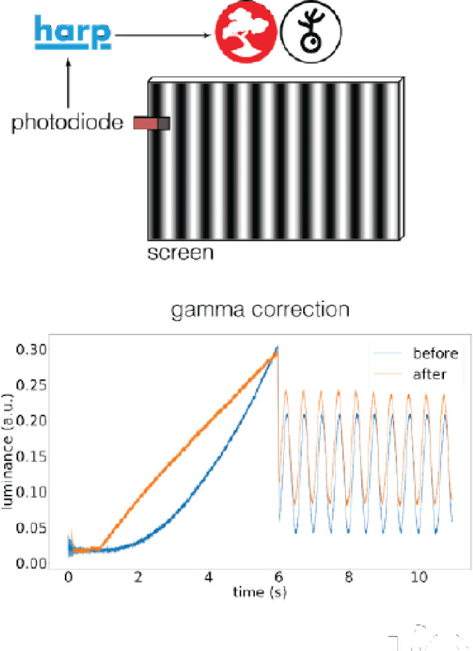 Figure 2—figure supplement 2.