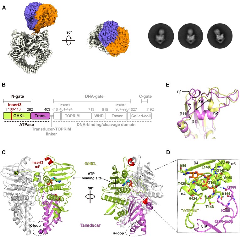 Figure 3.