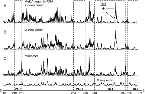 FIG. 2.