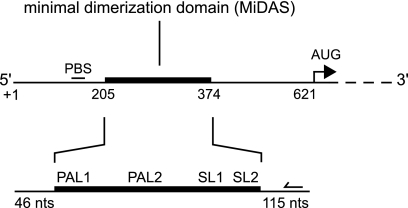 FIG. 1.