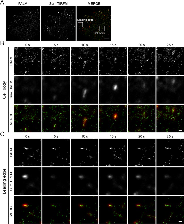 FIGURE 2: