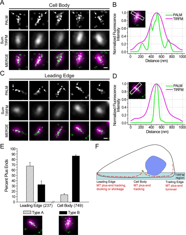 FIGURE 3: