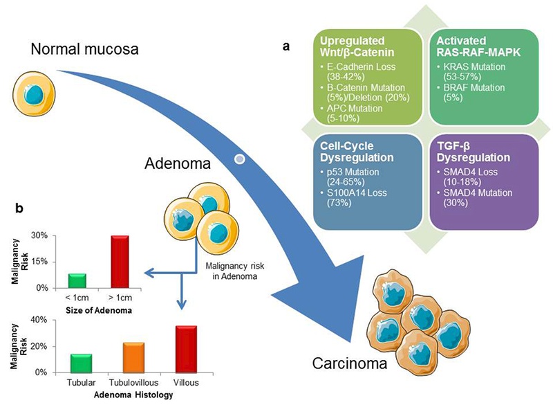 Figure 2 |