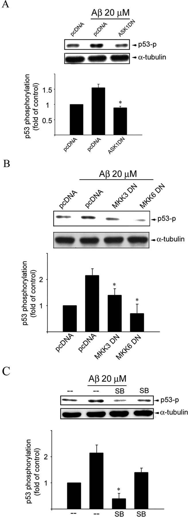 Figure 6.