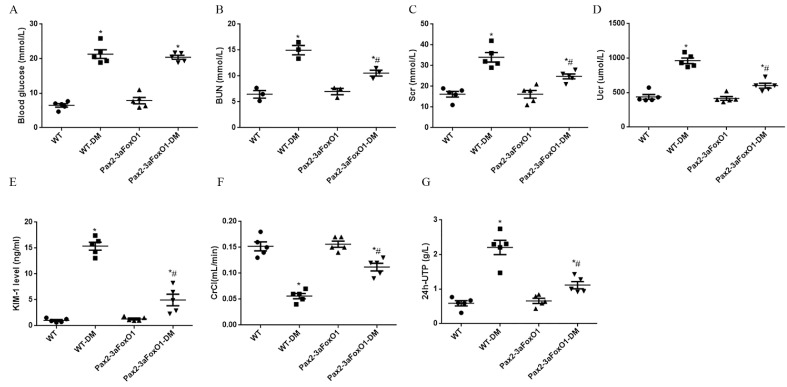 Supplemental Fig. 2