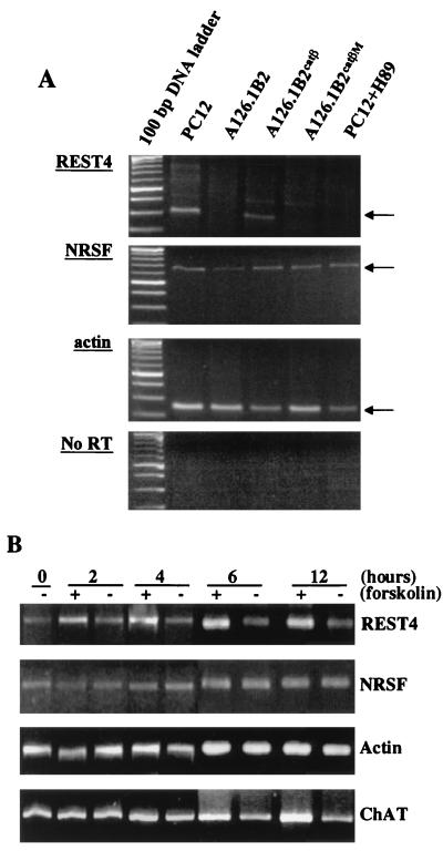 FIG. 5