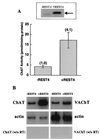 FIG. 8